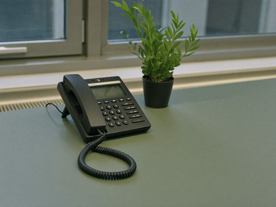 Phone and plant on a desk by the window